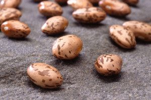 Dry pinto beans